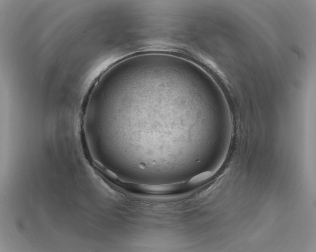 X0000115811463200911131410