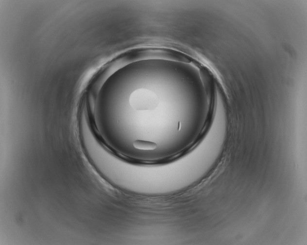 X0000115811464200911131410