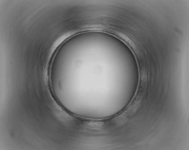 X0000115811466200911131410