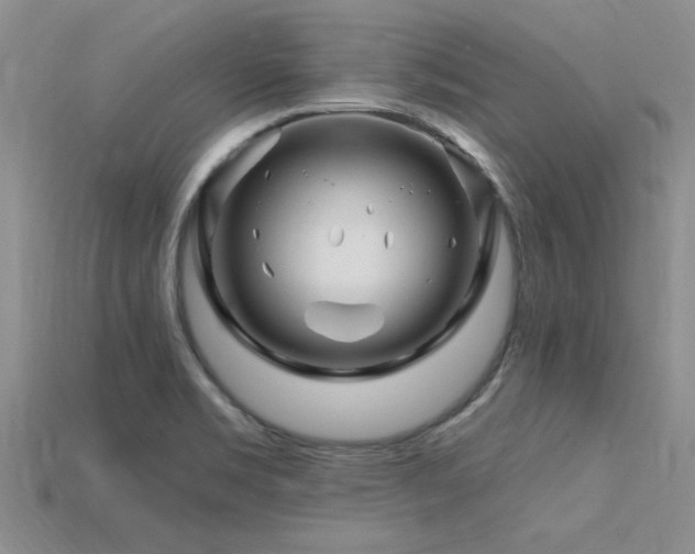 X0000115811469200911131410