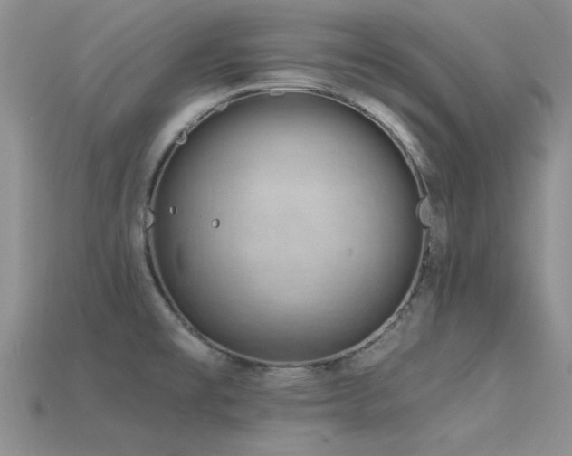 X0000115811477200911131410