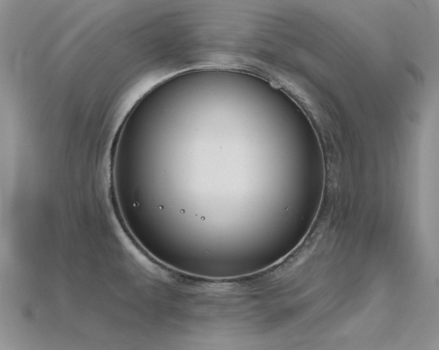 X0000115811479200911131410