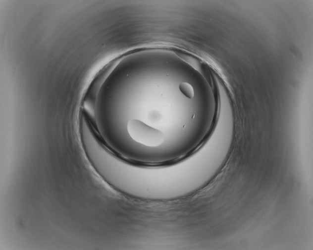X0000115811480200911131410