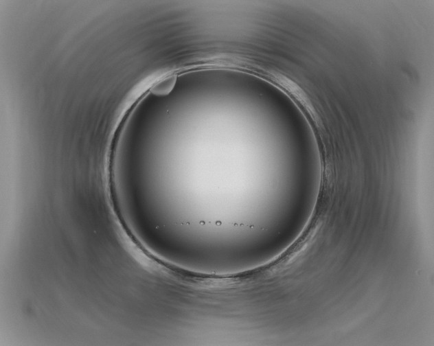 X0000115811482200911131410