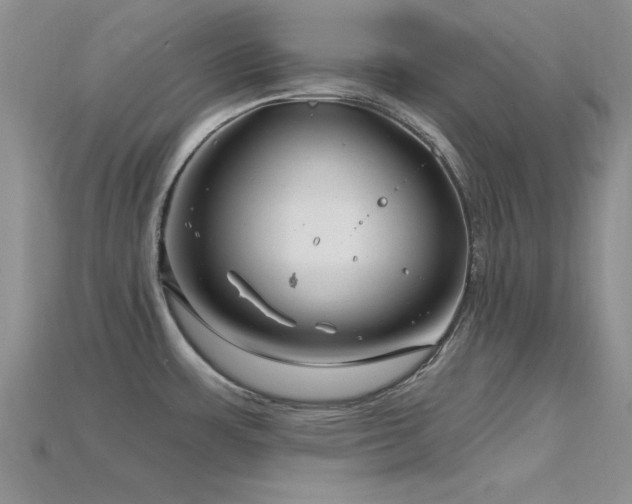 X0000115811483200911131410