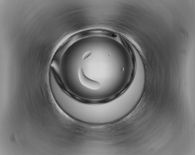 X0000115811484200911131410