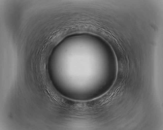 X0000115811489200911131409