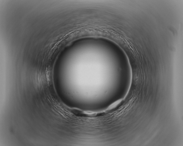 X0000115811490200911131409