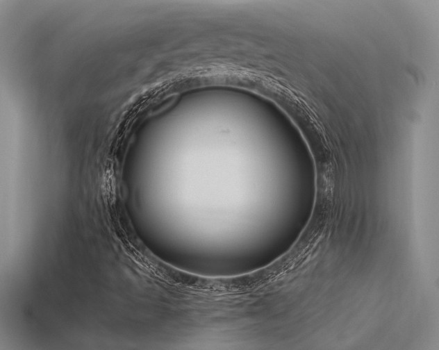X0000115811493200911131410