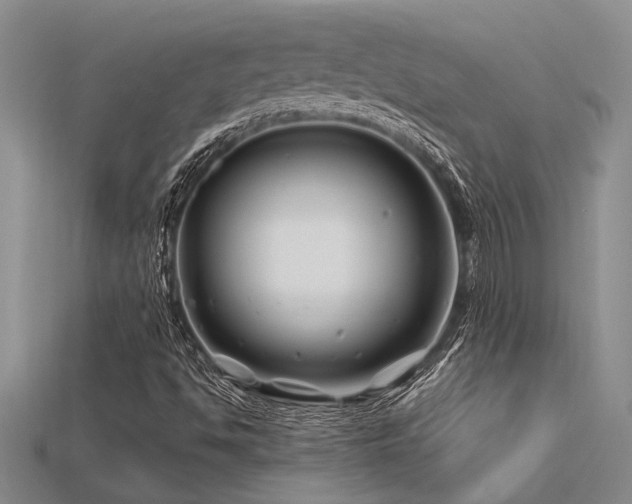 X0000115811494200911131410
