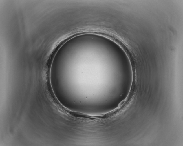 X0000115811501200911131410