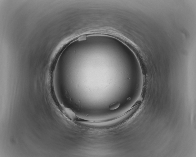 X0000115811506200911131410
