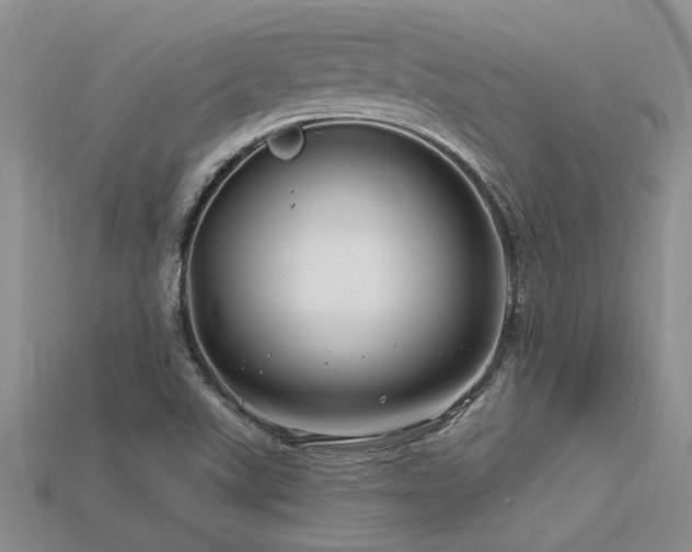 X0000115811507200911131410