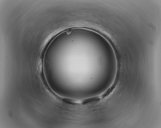 X0000115811509200911131410