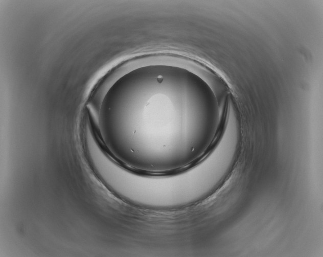 X0000115811510200911131410