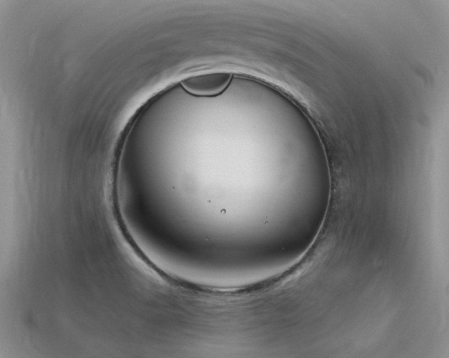 X0000115811518200911131410