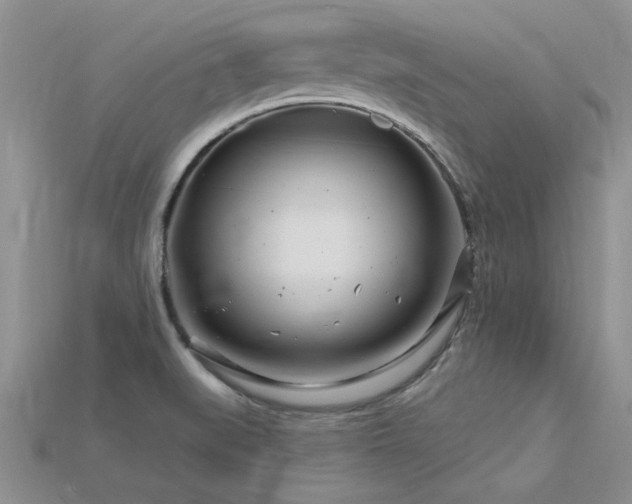 X0000115811519200911131410
