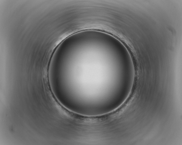 X0000115811521200911131410