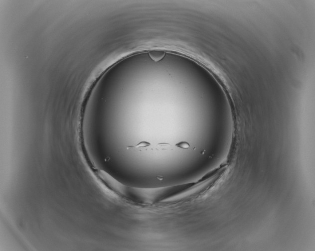 X0000115811525200911131410