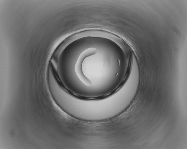 X0000115811527200911131410