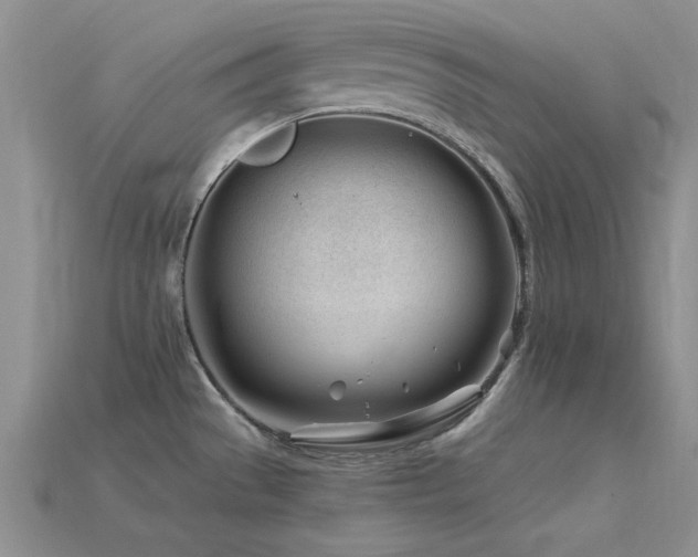 X0000115811529200911131410