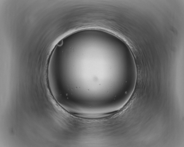 X0000115811534200911131410