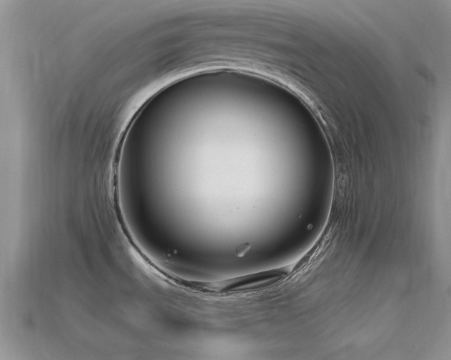 X0000115811535200911131410