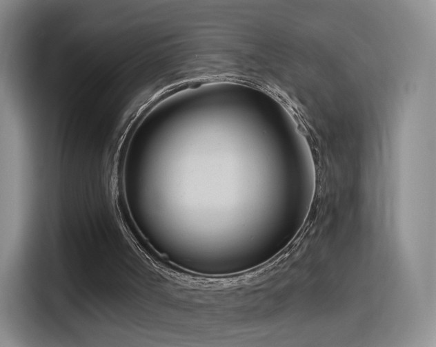 X0000115810002200911201428