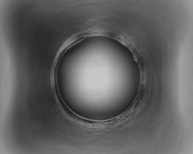 X0000115810004200911201428