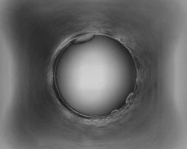 X0000115810005200911201428