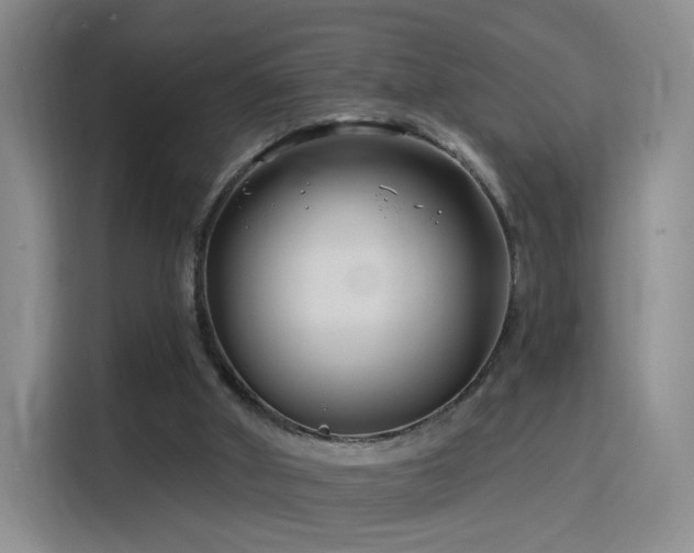 X0000115810010200911201428