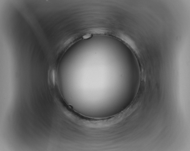 X0000115810013200911201428