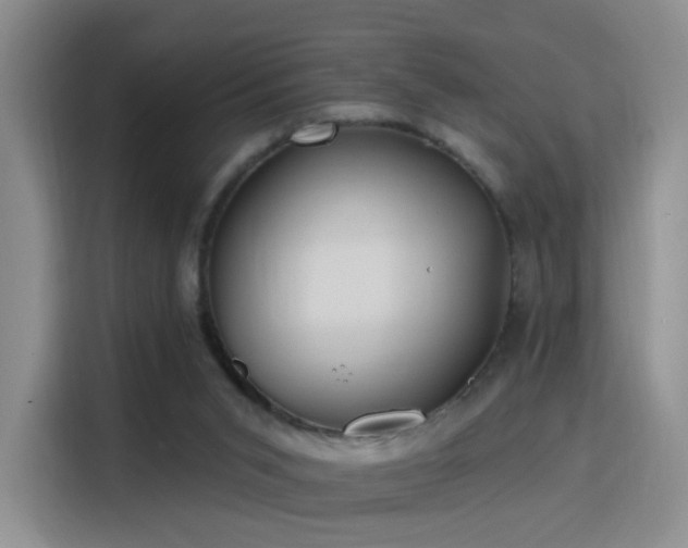 X0000115810015200911201428