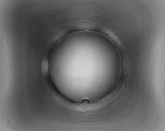 X0000115810021200911201428