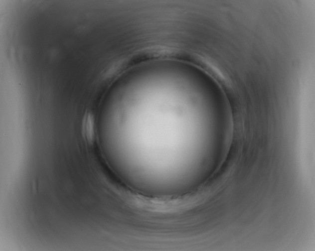 X0000115810022200911201428