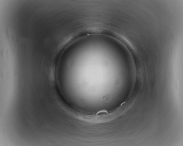 X0000115810023200911201428