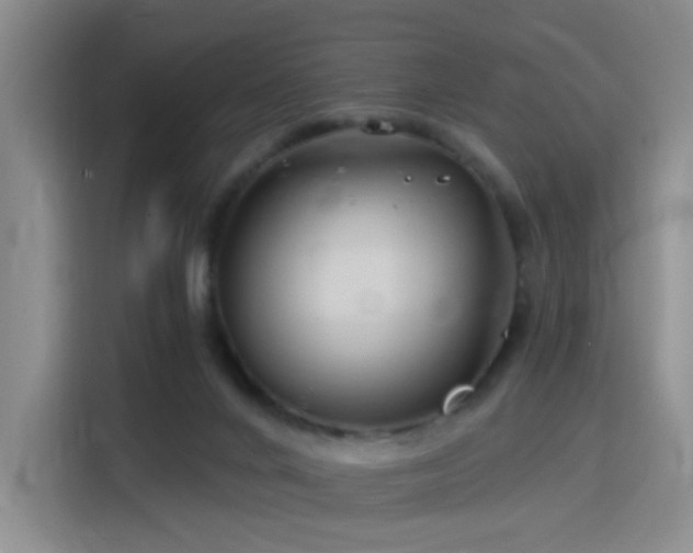 X0000115810024200911201428