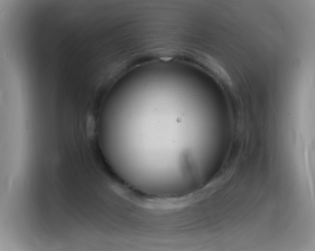 X0000115810025200911201428
