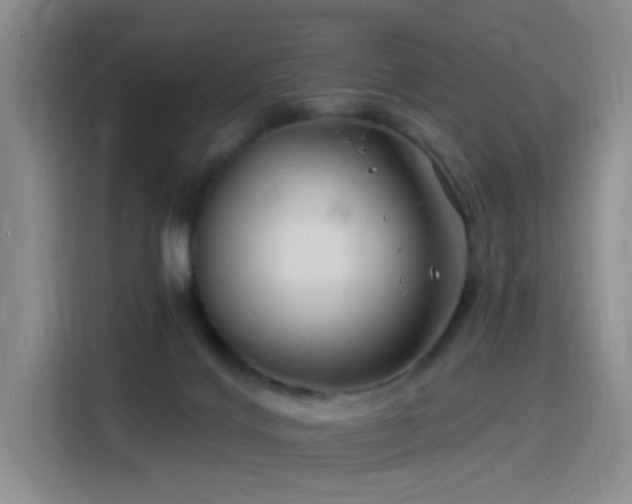 X0000115810028200911201428