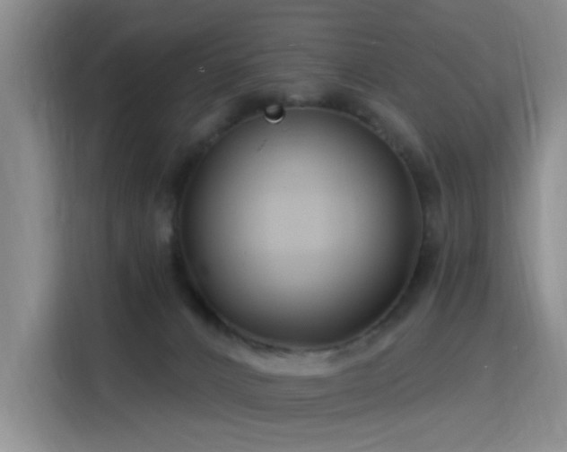 X0000115810032200911201428