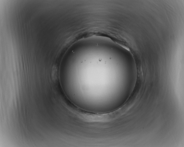 X0000115810036200911201427