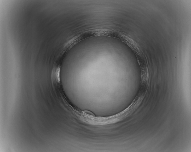 X0000115810047200911201427
