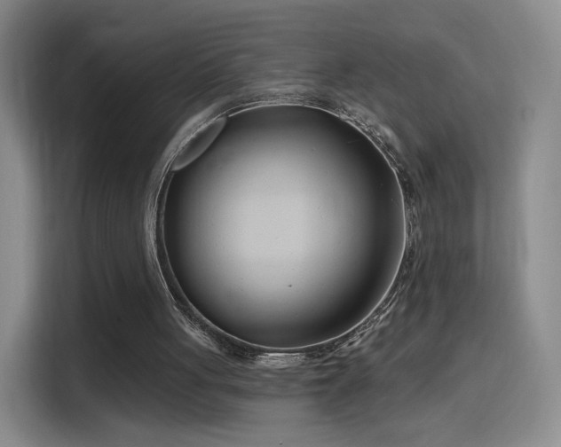 X0000115810051200911201427