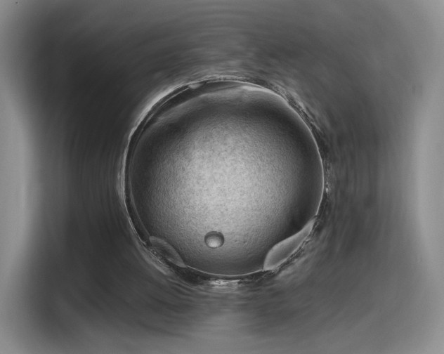 X0000115810052200911201427