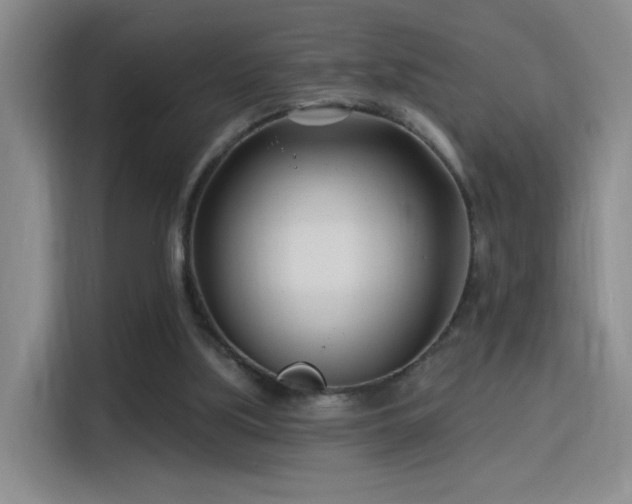X0000115810059200911201427