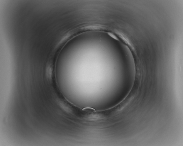 X0000115810063200911201427