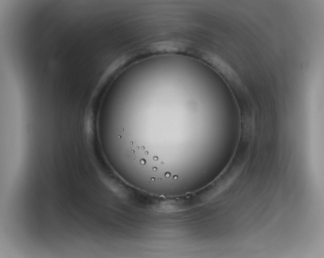 X0000115810064200911201427