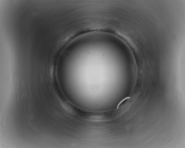 X0000115810066200911201427