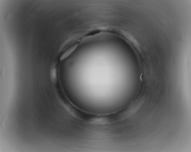 X0000115810067200911201427