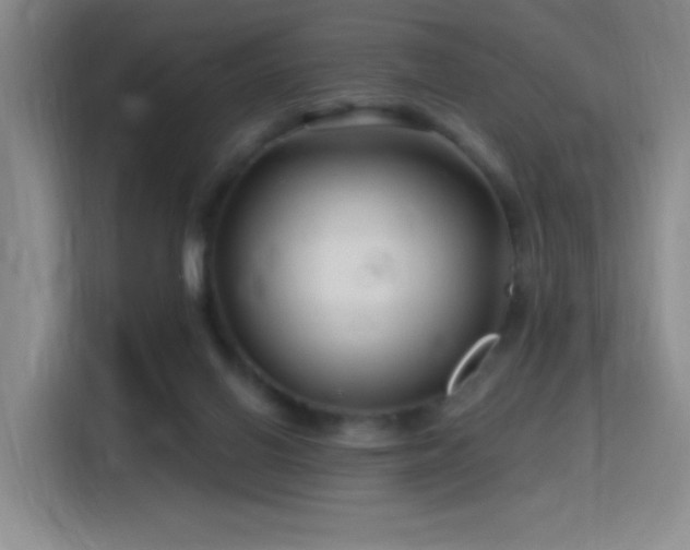 X0000115810070200911201427